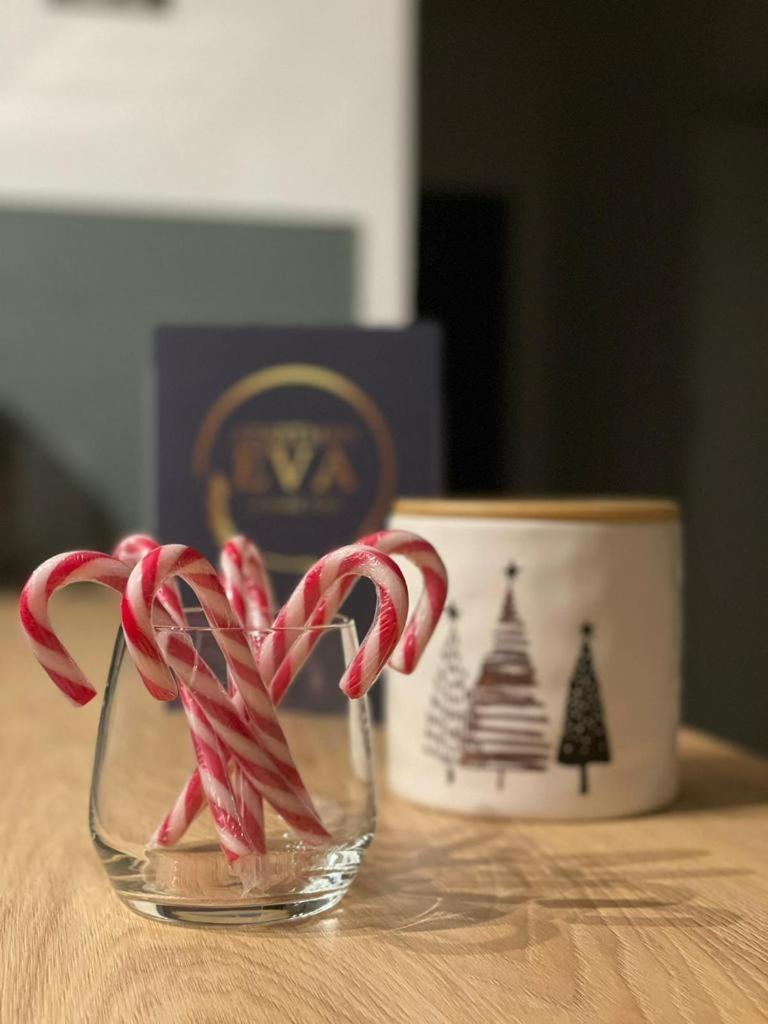 Apartman Eva, Moderan Stan U Srcu Zagorja Krapina Eksteriør billede